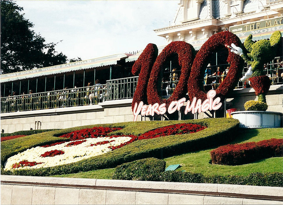 The Mickey hedge right outside The Magic Kingdom, Disney World, during the 100 Years of Magic celebration.