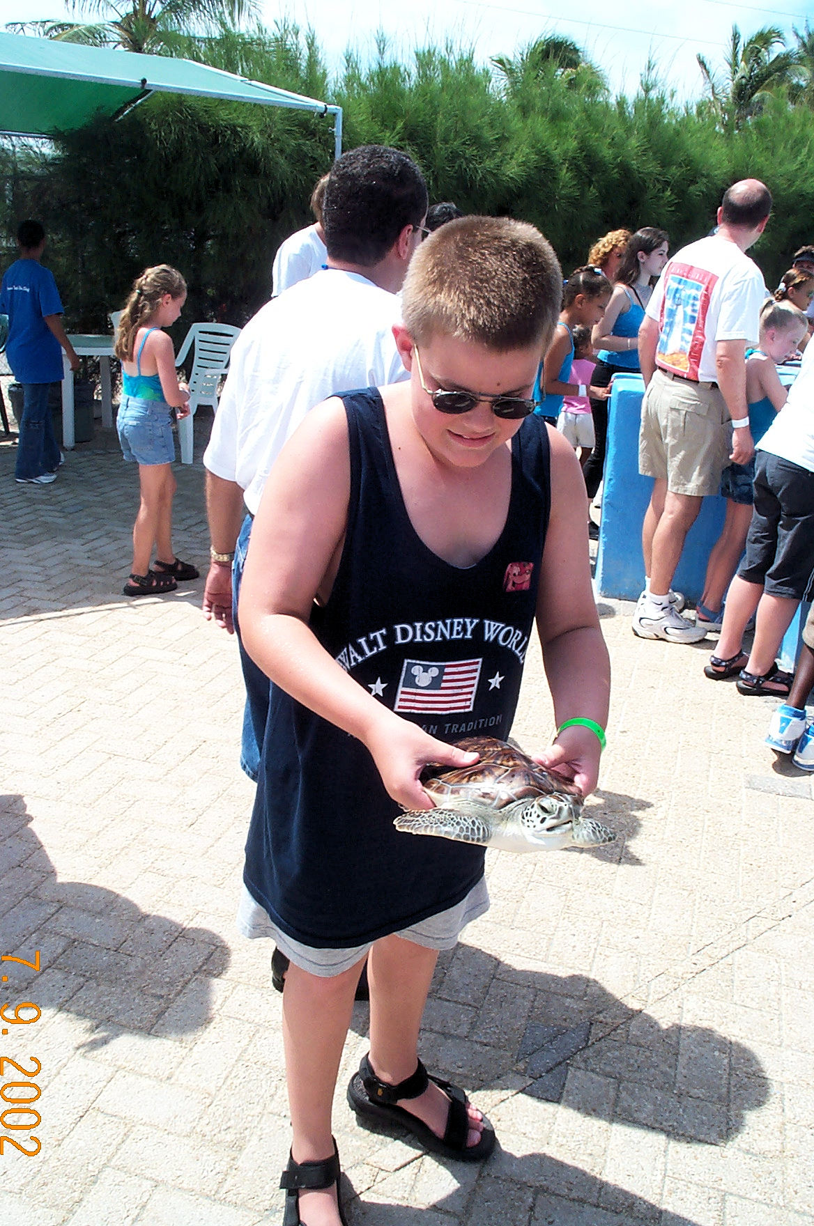 Me on Grand Cayman, one of the stops on the Disney Cruise Line, holding a turtle.