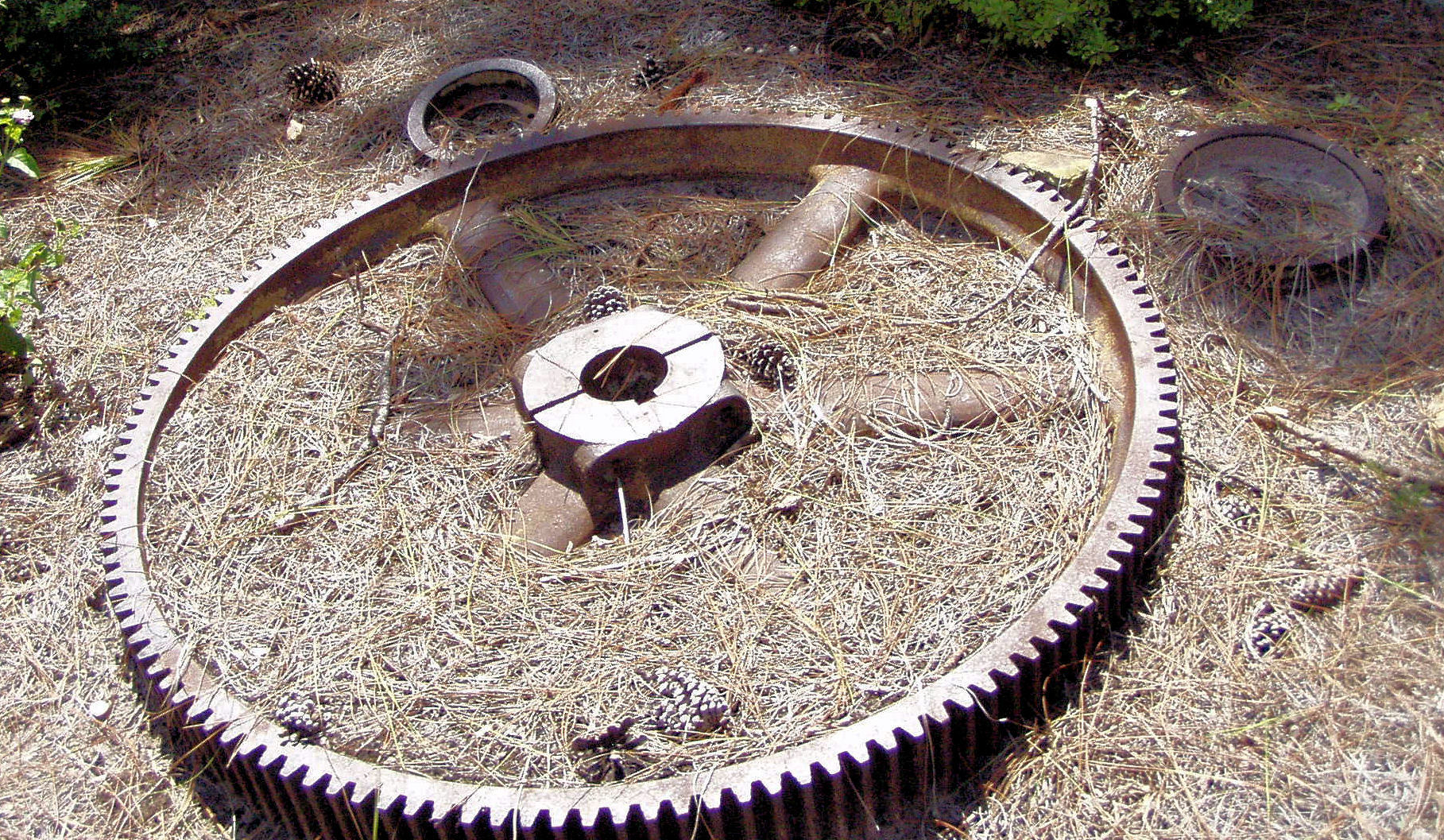 A Hidden Mickey on Big Thunder Mountain Railroad at The Magic Kingdom at Disney World.