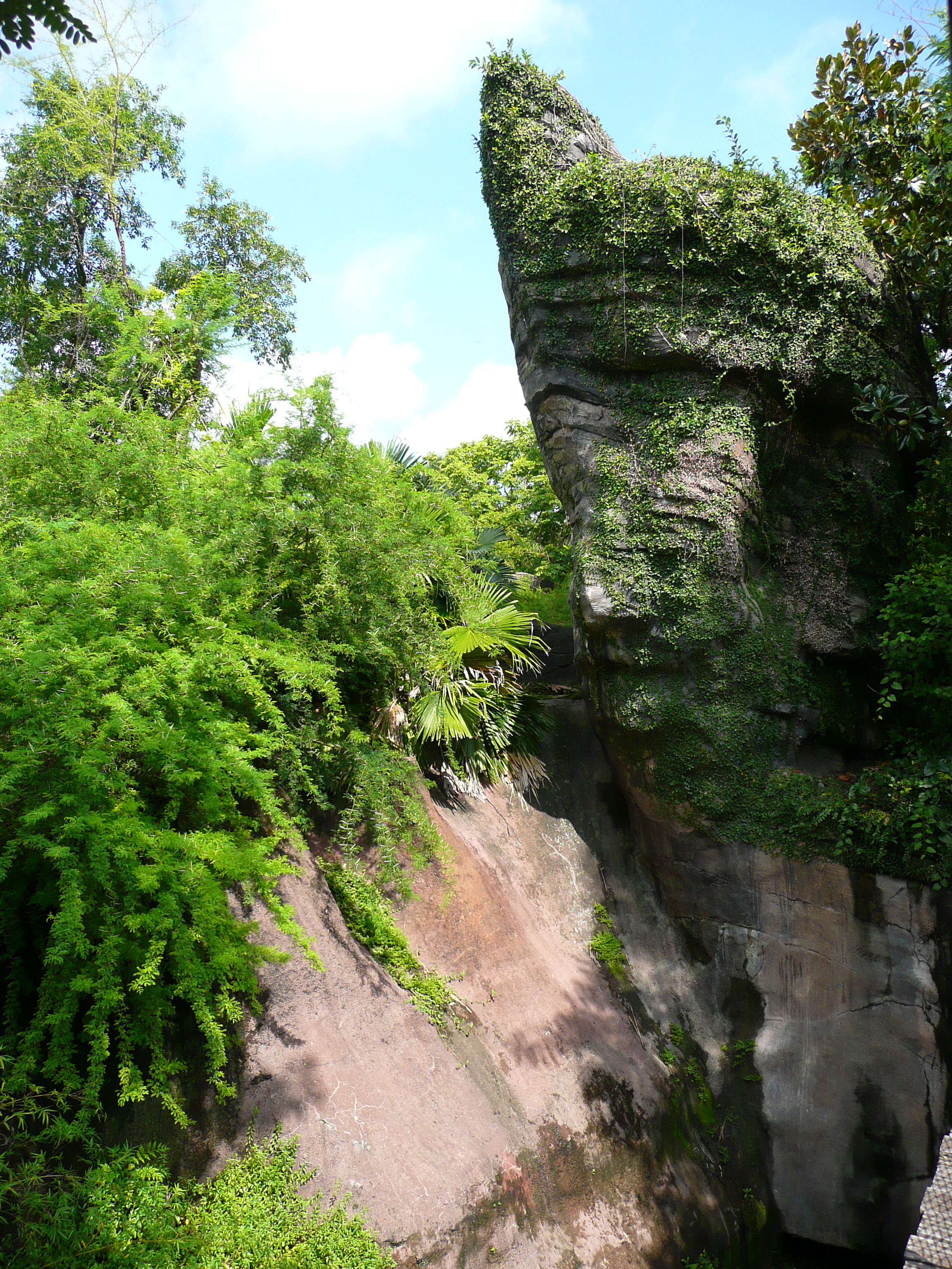 Hidden Jafar on the Pangani Forest Exploration Trail in the Africa section at Disney's Animal Kingdom. Hidden Jafar on the Pangani Forest Exploration Trail in the Africa section at Disney's Animal Kingdom.