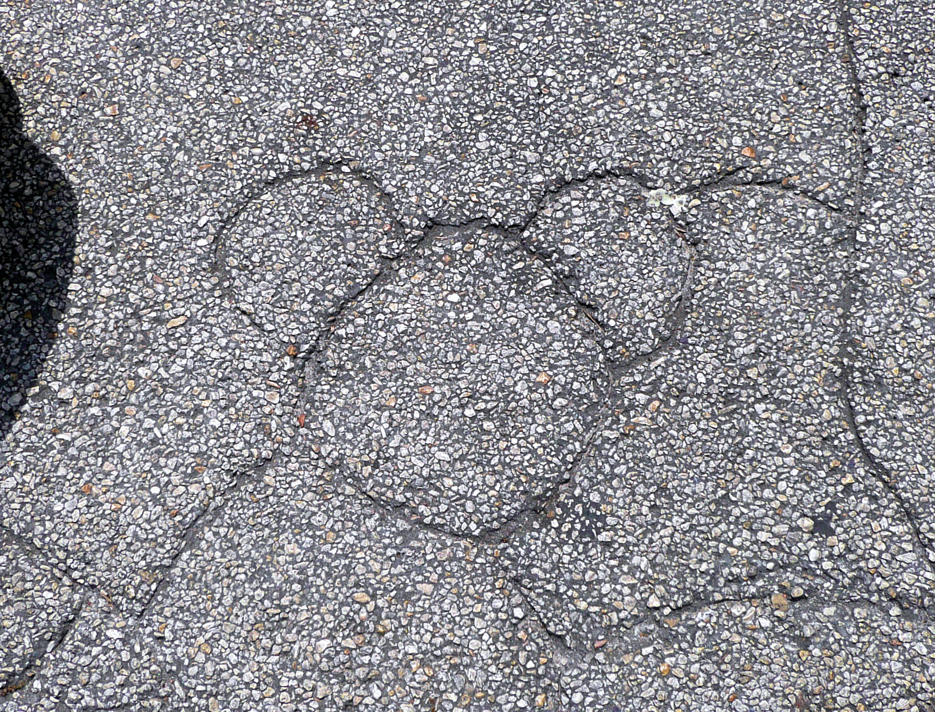 Look on the ground outside Chester and Hester's Dino-Rama at Disney's Animal Kingdom for this Hidden Mickey.