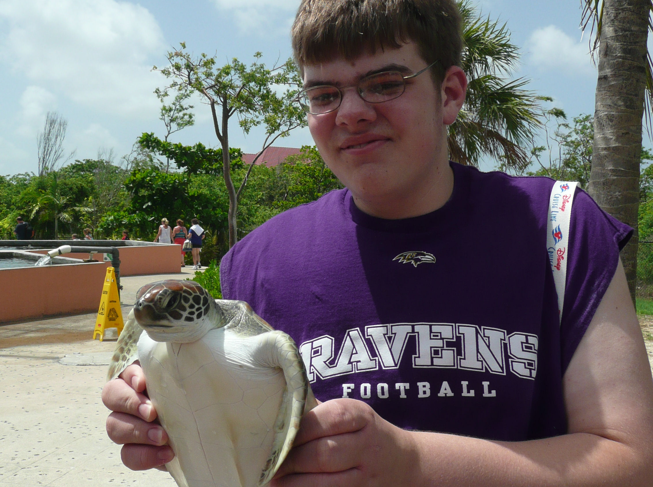 Holding a turtle at the turtle farm on Grand Cayman, an excursion on the Disney Cruise Line.
