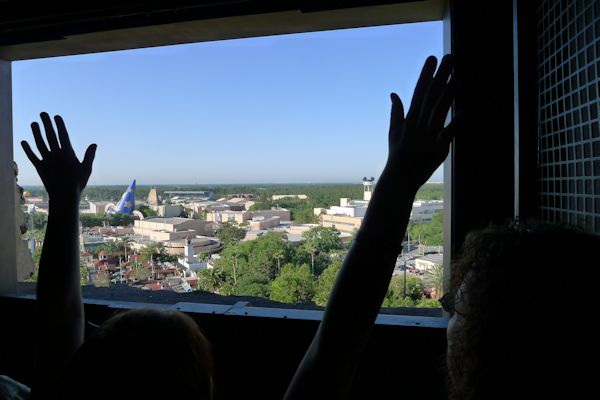 View from the top of the Tower of Terror.