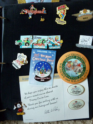 Page of pins. Page of pins.